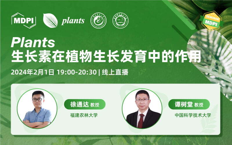 Plants：生长素在植物生长发育中的作用 | MDPI Seminar