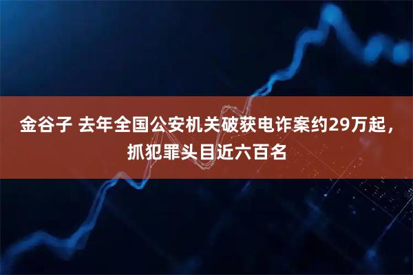 金谷子 去年全国公安机关破获电诈案约29万起，抓犯罪头目近六百名