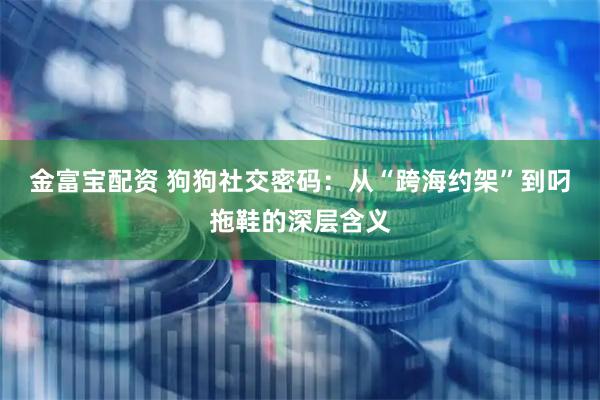 金富宝配资 狗狗社交密码：从“跨海约架”到叼拖鞋的深层含义