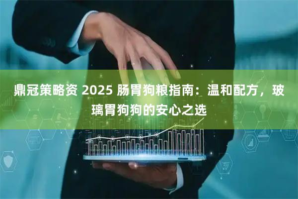 鼎冠策略资 2025 肠胃狗粮指南：温和配方，玻璃胃狗狗的安心之选