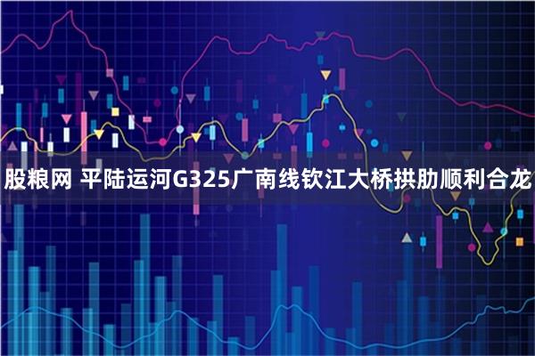 股粮网 平陆运河G325广南线钦江大桥拱肋顺利合龙