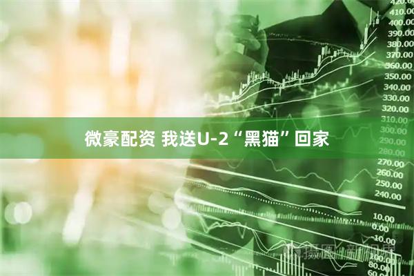微豪配资 我送U-2“黑猫”回家