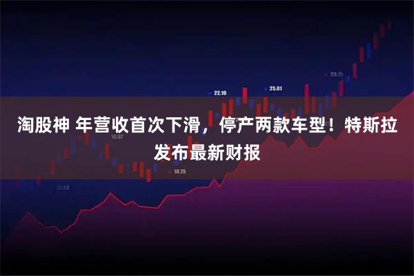 淘股神 年营收首次下滑，停产两款车型！特斯拉发布最新财报